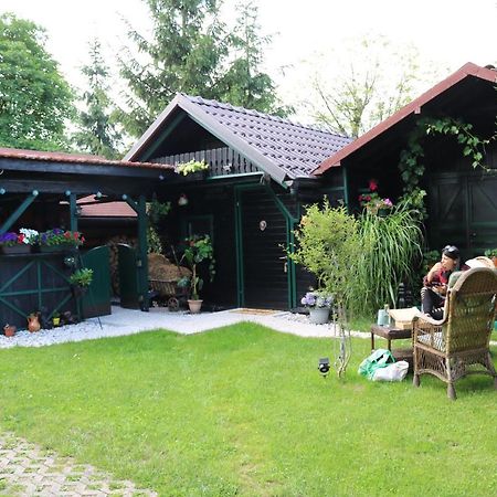 Frenkcottage 5 Km From The Airport- Free Transportation Šenčur Exterior foto